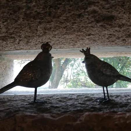 Casa Real * بارسيلوس